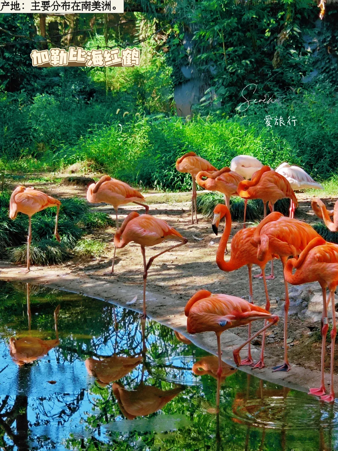 1f0327dde53931487894be3d393375c6-sz_4201900 1f0327dde53931487894be3d393375c6-sz_4201900