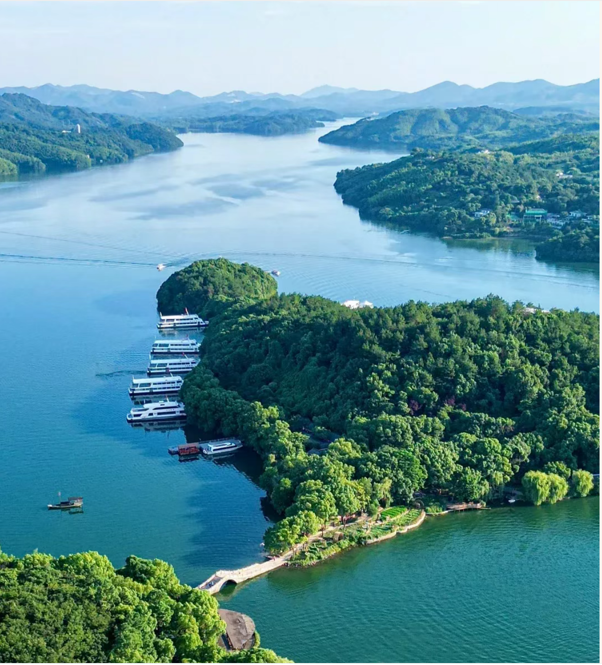 1f43f5293ffc71d8a0564b80fcb0a733