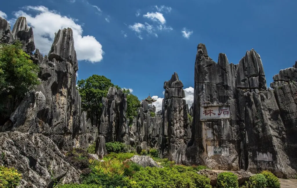 1f479745aa05e9c12e2f0c671129f4e7-sz_1480668