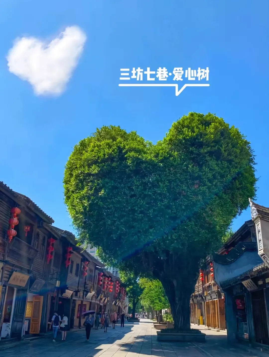 1f6655677af25545271a72b0af0f8776-sz_2312807 1f6655677af25545271a72b0af0f8776-sz_2312807