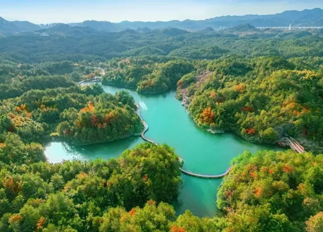 1f6c4e4836fc01b49bcbb2fbb3cc6f05-sz_663140 1f6c4e4836fc01b49bcbb2fbb3cc6f05-sz_663140