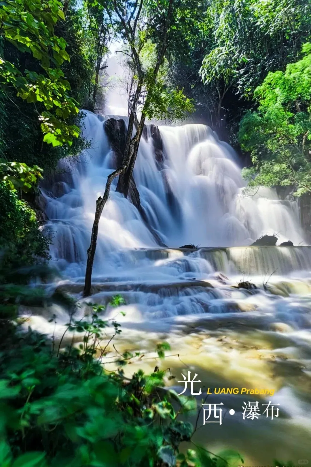 1fddf9f6b74d041c6208de9516c8af14-sz_462487