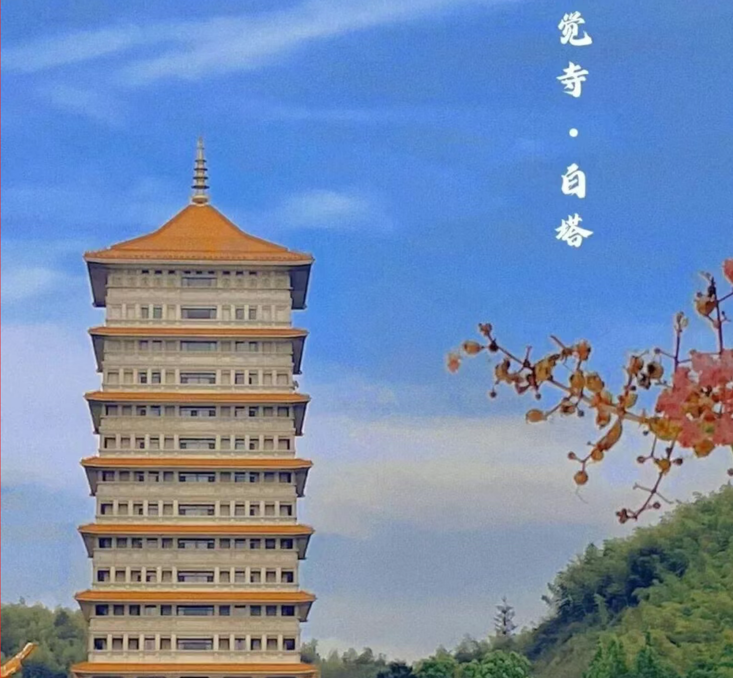 20038c402029adb177623813c6cb64df