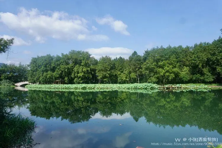 200c177f5f8483c95fbd935bf3b1aba8-sz_73813 200c177f5f8483c95fbd935bf3b1aba8-sz_73813