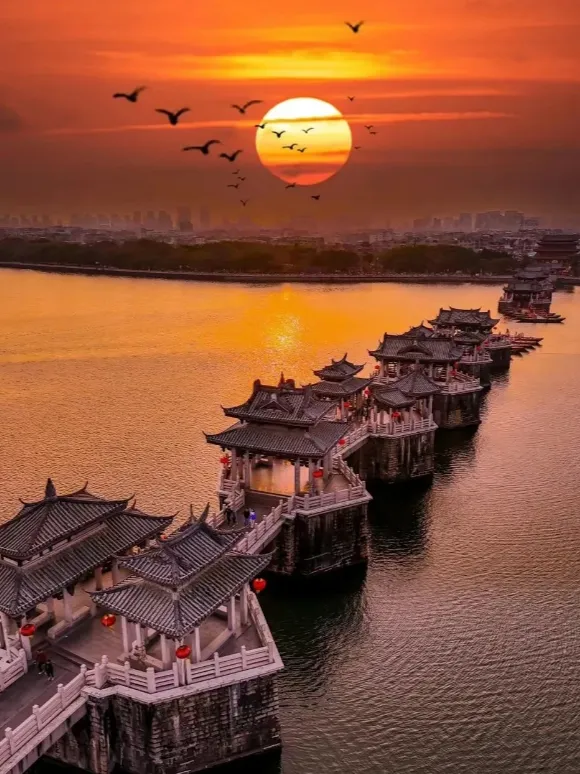 20111631e7dc25adad1a1c50f0775d27-sz_1168313 20111631e7dc25adad1a1c50f0775d27-sz_1168313