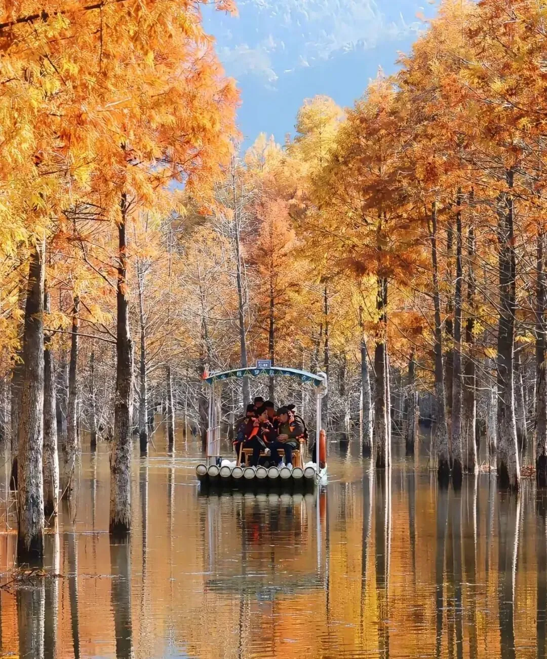 204a284ff30daccf624d4c8303273ec4-sz_513603