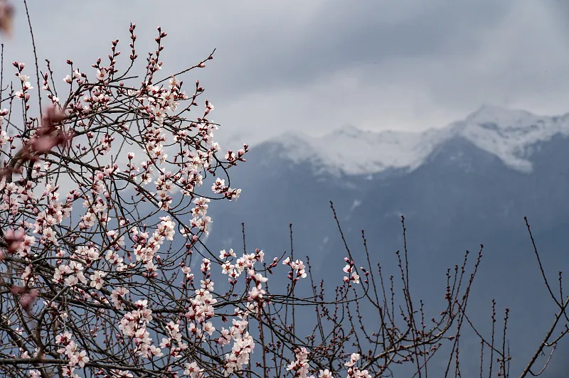 20631933437a779eca842a976044afbc-sz_193454