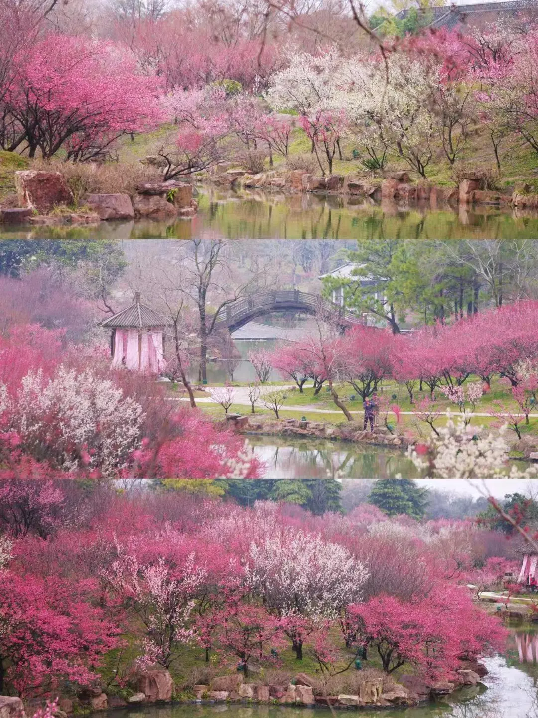 20bbab169127f463ed0ea78528fa24ac-sz_343706