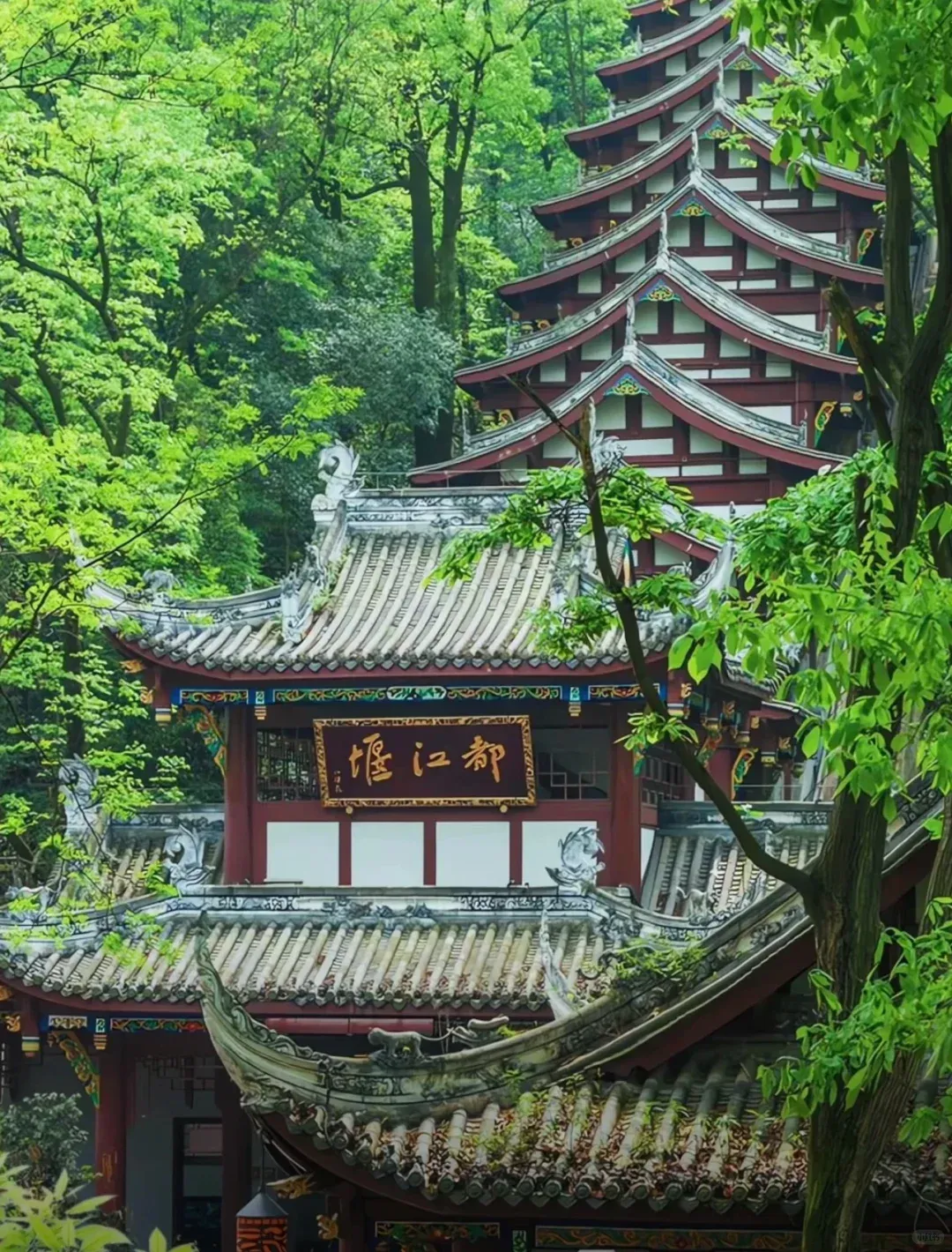 20e36a37c1f9fb81a8ce368a0ca4c80a-sz_3747485 20e36a37c1f9fb81a8ce368a0ca4c80a-sz_3747485