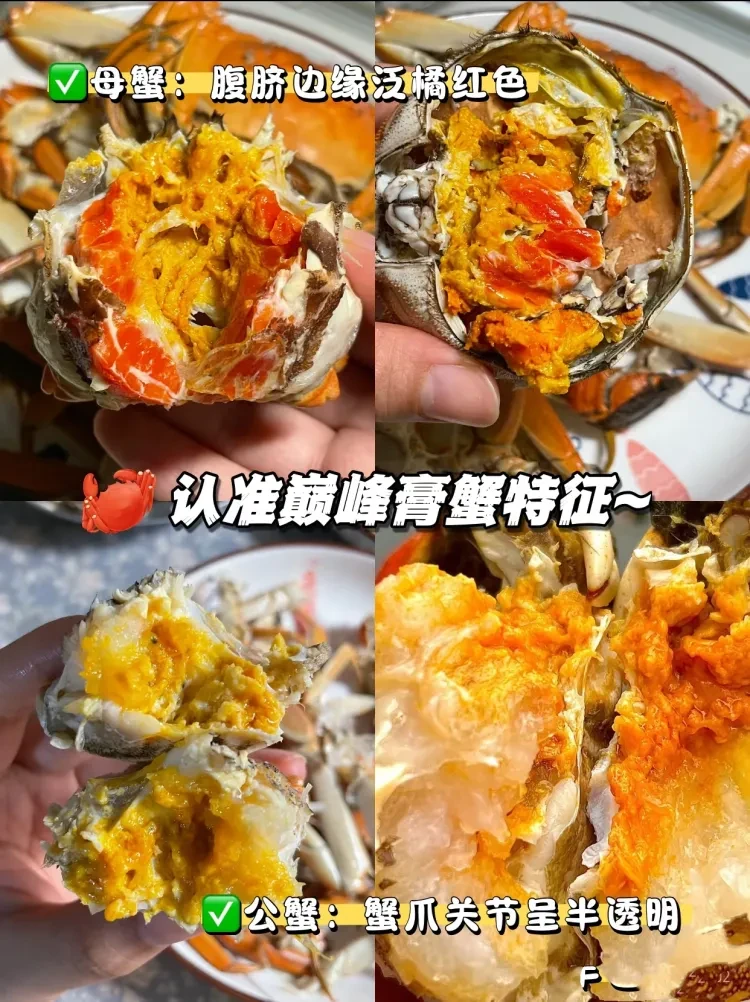 20e7d532d1e64bdb33e2393641c75463-sz_1453369