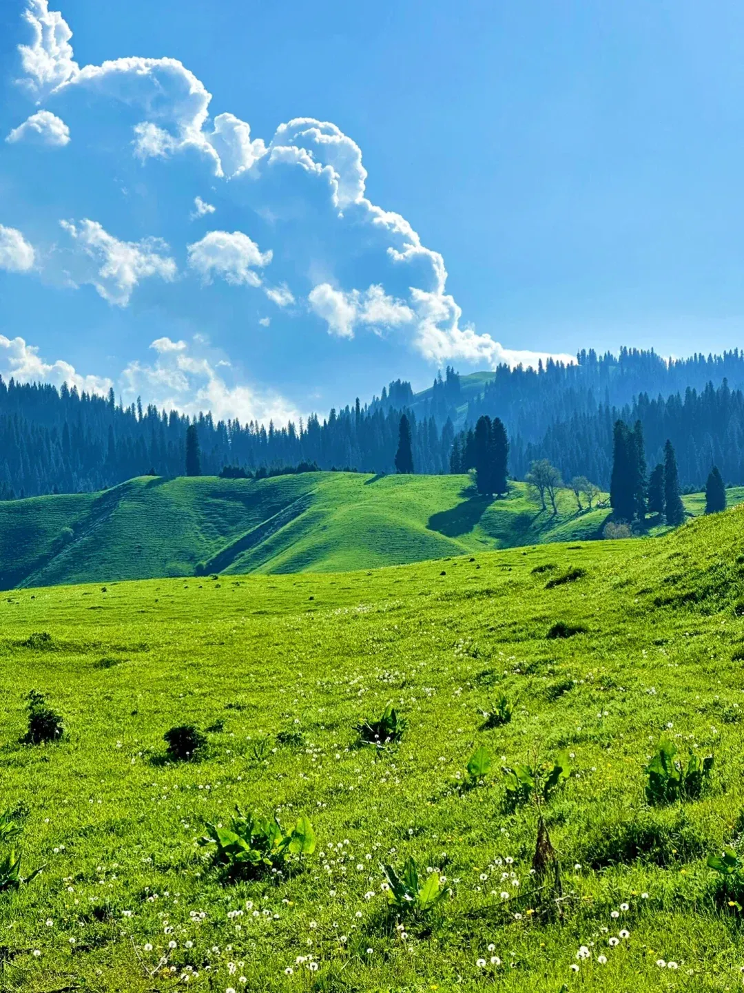 20ee94046b5ea71baae7be1bf8ee2338-sz_2796405 20ee94046b5ea71baae7be1bf8ee2338-sz_2796405