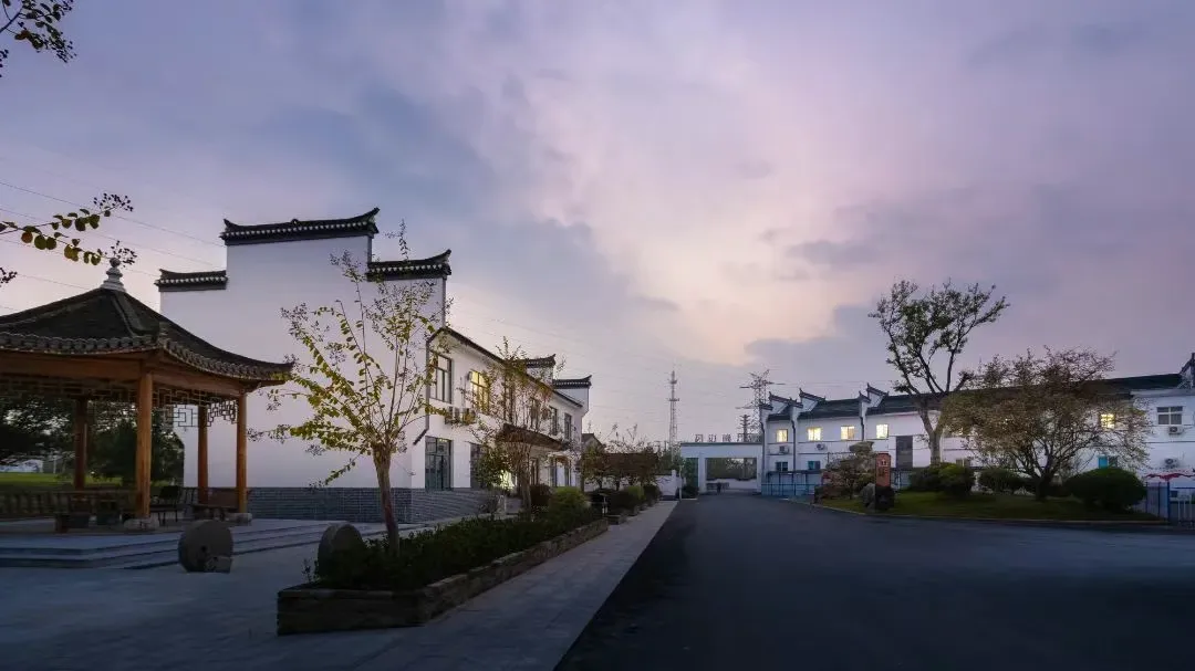 210faae474d8de7a5a23b2395d78a896-sz_805852-1