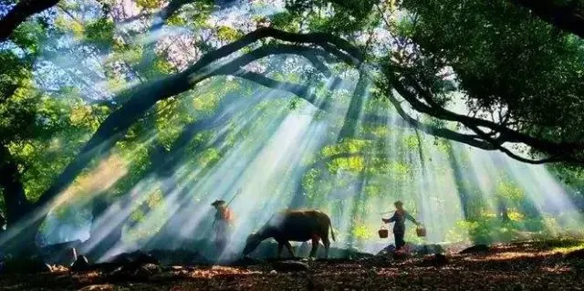 2113cec8f3b4e3731bea13d9b8f5bfc4-sz_60530 2113cec8f3b4e3731bea13d9b8f5bfc4-sz_60530