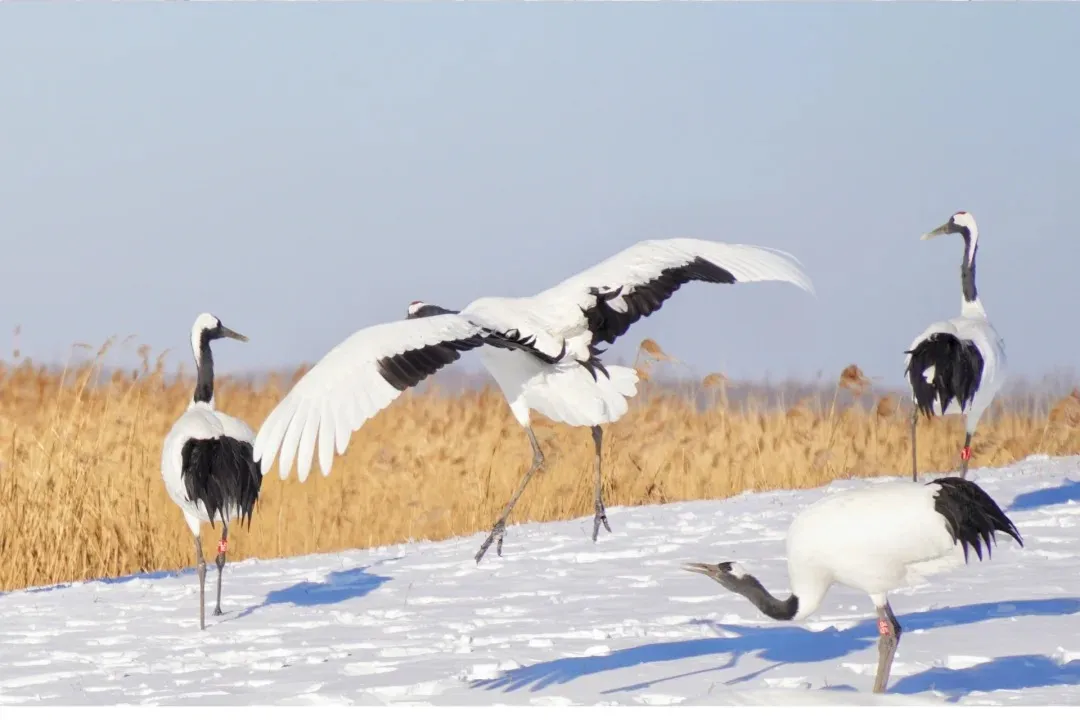 2143e663cddfc6e1d01d49f78add2194-sz_271366-1 2143e663cddfc6e1d01d49f78add2194-sz_271366-1