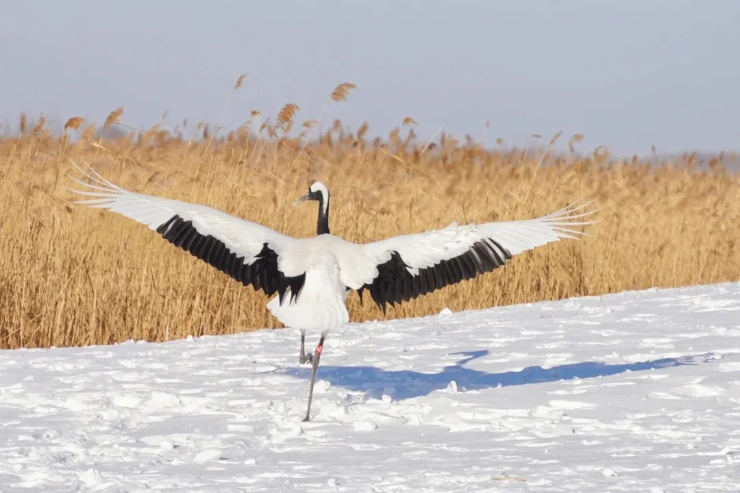 2143e663cddfc6e1d01d49f78add2194-sz_271366 2143e663cddfc6e1d01d49f78add2194-sz_271366