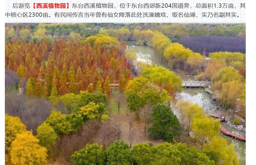 21556ceea6e5593185df97ddf9a1df59