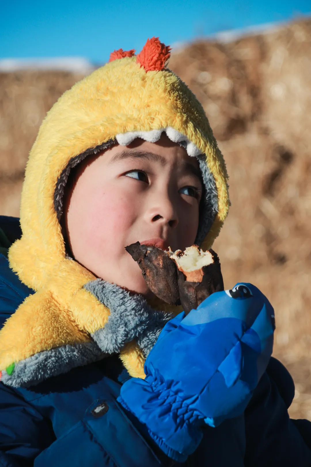 217c10bf7d86fe92e807b37c6d83391e-sz_5987566 217c10bf7d86fe92e807b37c6d83391e-sz_5987566