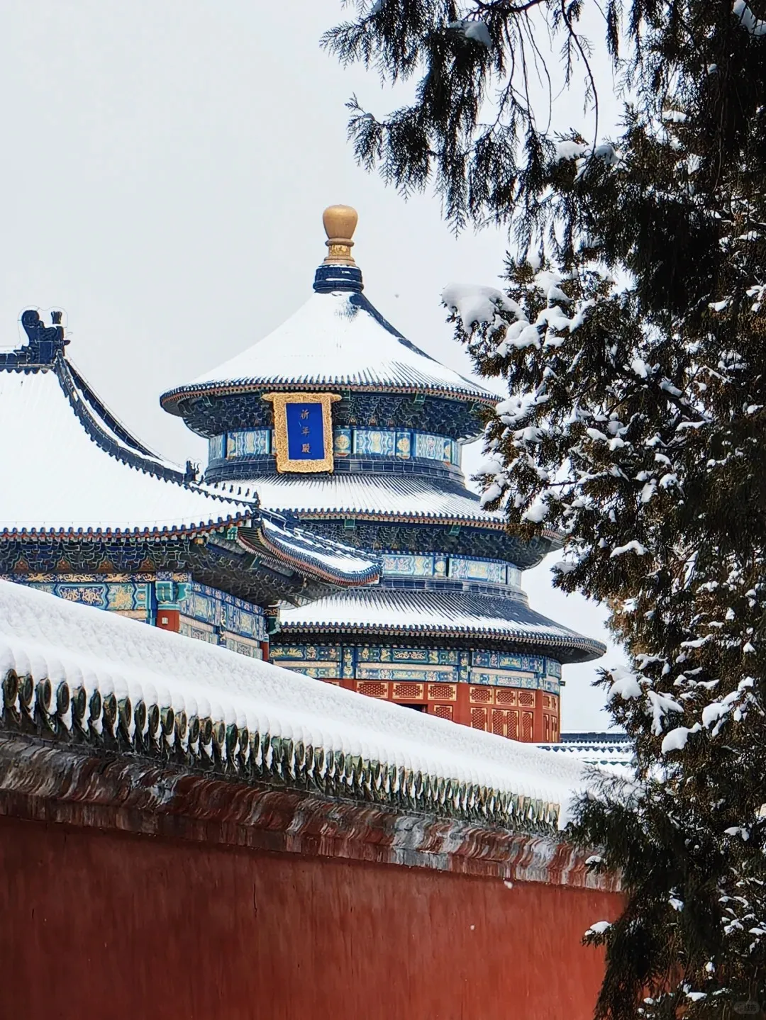 218549fc1e991253b529da2554735243-sz_548058 218549fc1e991253b529da2554735243-sz_548058