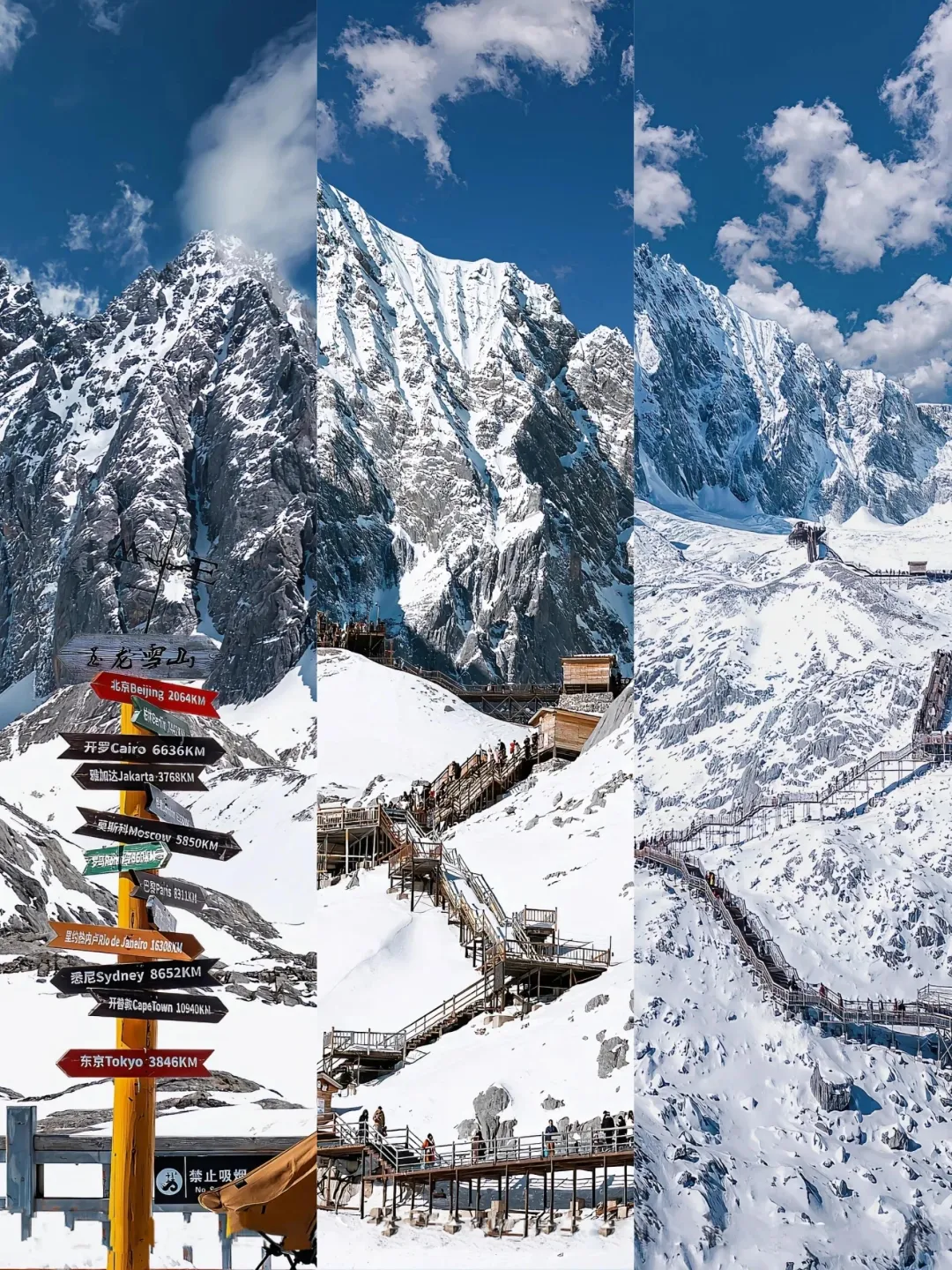 21a2d2ac30d5454f7da09661f4e02287-sz_1494853