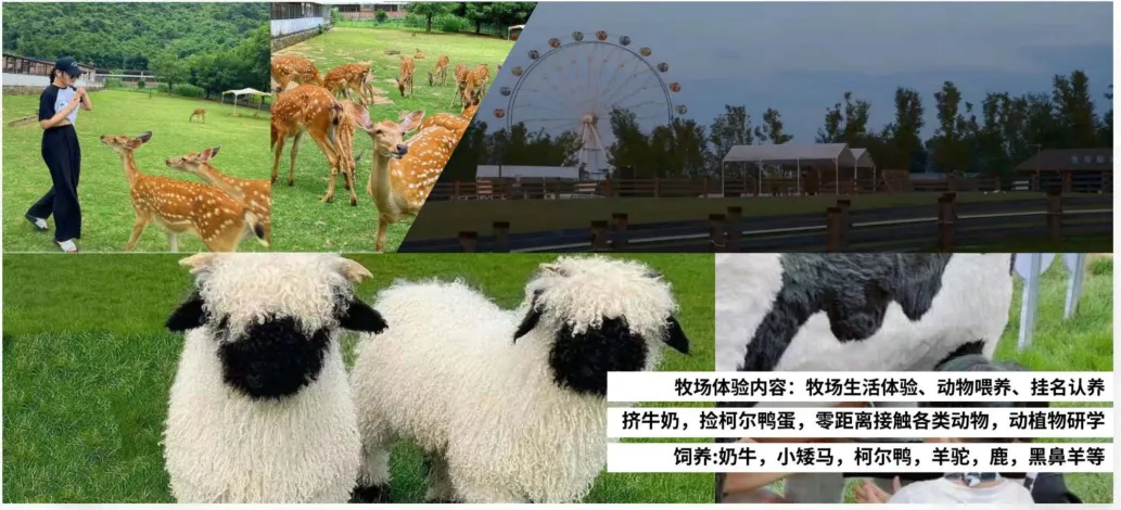 21c20983fbb22ccfe6828c57c2151c12-sz_4207118