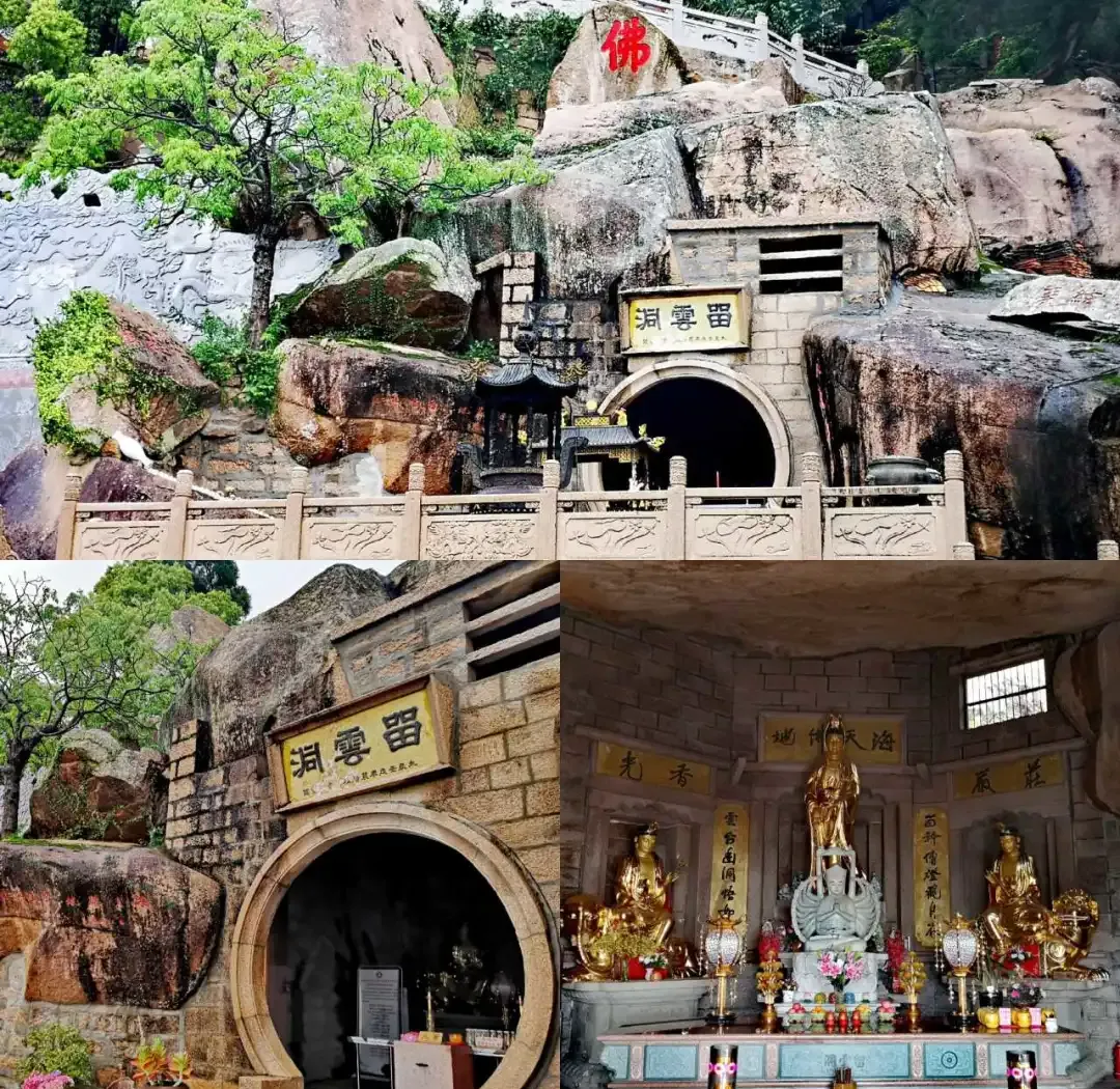 21c5275e463249b76986926700b2a910-sz_2431724