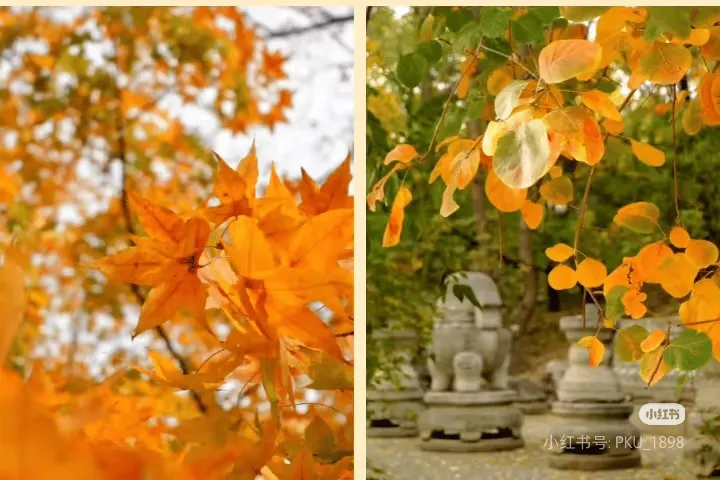 21c7d2b7c3e59ae2a3c937b6a275a292-sz_387938