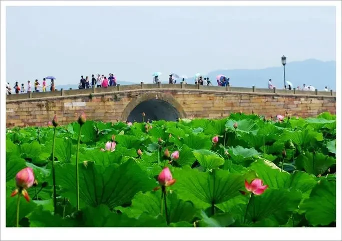 21cee7410d90750962ae033415b8c35f-sz_52136-1 21cee7410d90750962ae033415b8c35f-sz_52136-1