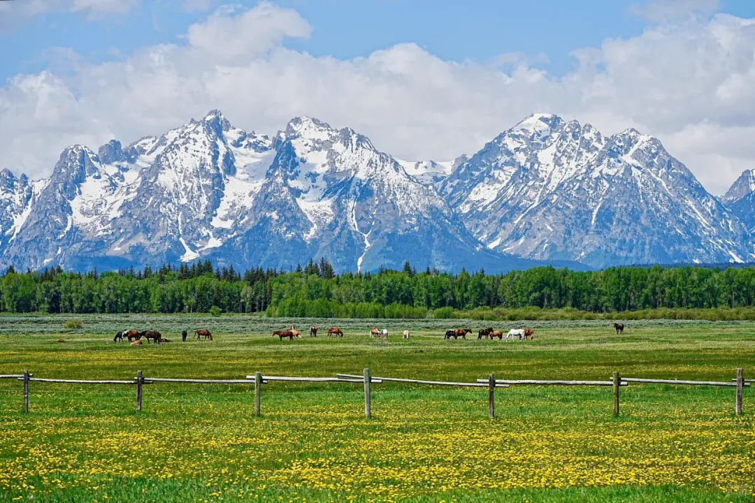 2201988ca8f27a231dc5d6716a241f74-sz_779855 2201988ca8f27a231dc5d6716a241f74-sz_779855