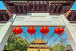 220aa796b0d0979ad99ad8b8b6d2f8a5-sz_95817