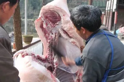 221c9f70b4dcc9e2ee2a8346464cd808-sz_285507 221c9f70b4dcc9e2ee2a8346464cd808-sz_285507