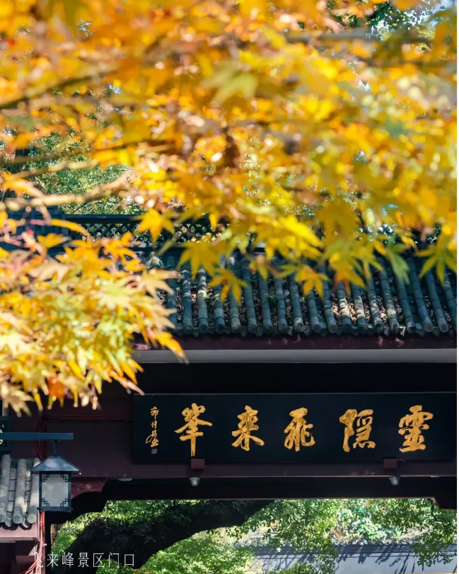 五星跟团『🍁杭州298元雷迪森酒店二日游☘️灵隐寺飞来峰』赠：2正1自助早（升级一顿西湖醋鱼宴）🍁免费棋牌~！🍁畅游西湖美景