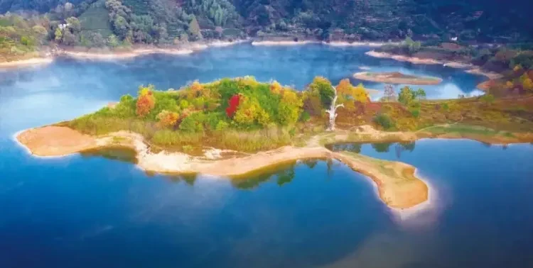 22806208960d20c3472a3eadc266b856-sz_74966