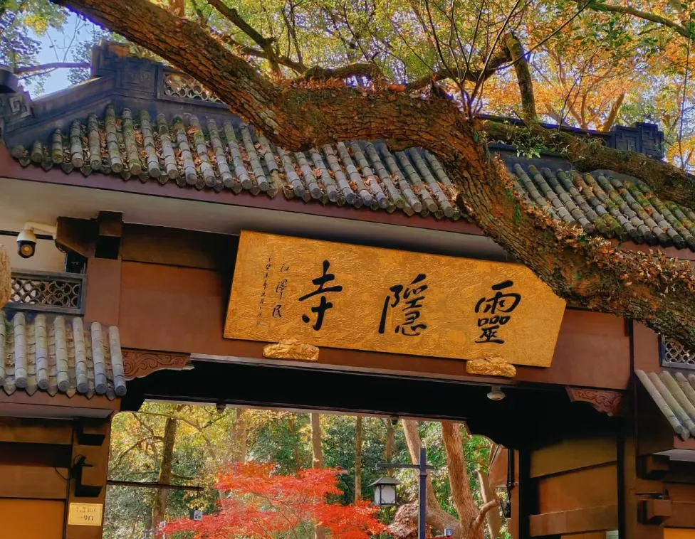 22817e8f658f40a2607679a7b60452f2-sz_1263389 22817e8f658f40a2607679a7b60452f2-sz_1263389