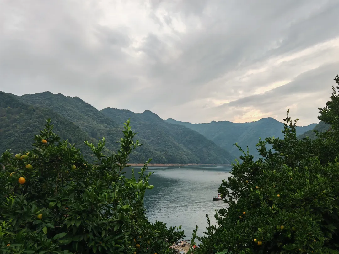 2283ce620688019d5afd9a1302096ab5-sz_4351383 2283ce620688019d5afd9a1302096ab5-sz_4351383