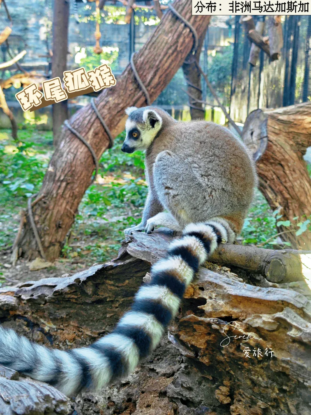 22a58c402629c4d766ea31c59beee607-sz_4109651 22a58c402629c4d766ea31c59beee607-sz_4109651