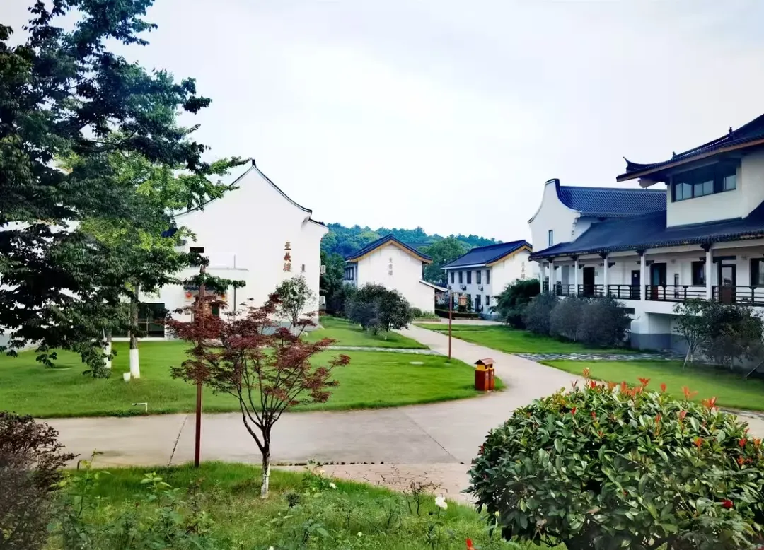 22b4f56c4e74b56667efca17e6e37701-sz_956279