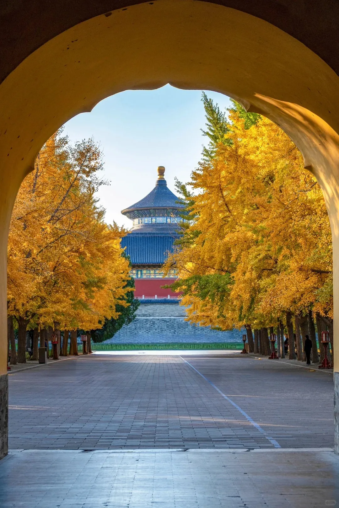 22fe633873d2645ecdb036ddc165e52e-sz_589630 22fe633873d2645ecdb036ddc165e52e-sz_589630