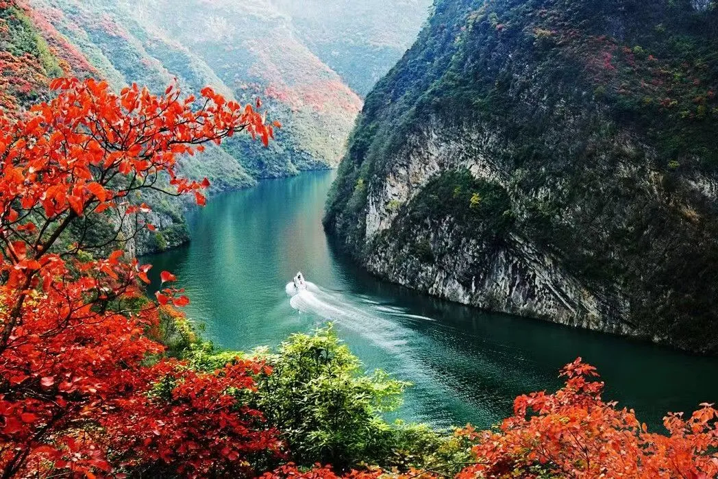 230ed6ba7cd907c5bef895b64d393c51-sz_257310 230ed6ba7cd907c5bef895b64d393c51-sz_257310