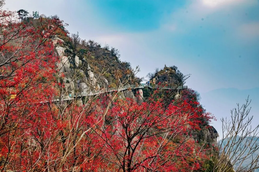 231231adbd4b7eef92478f1720a75f3e-sz_334659 231231adbd4b7eef92478f1720a75f3e-sz_334659