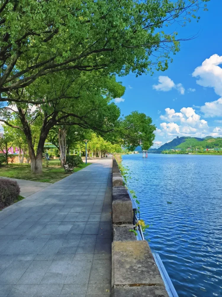 2328a85a2501a46801be8be85526ebd5-sz_3728737