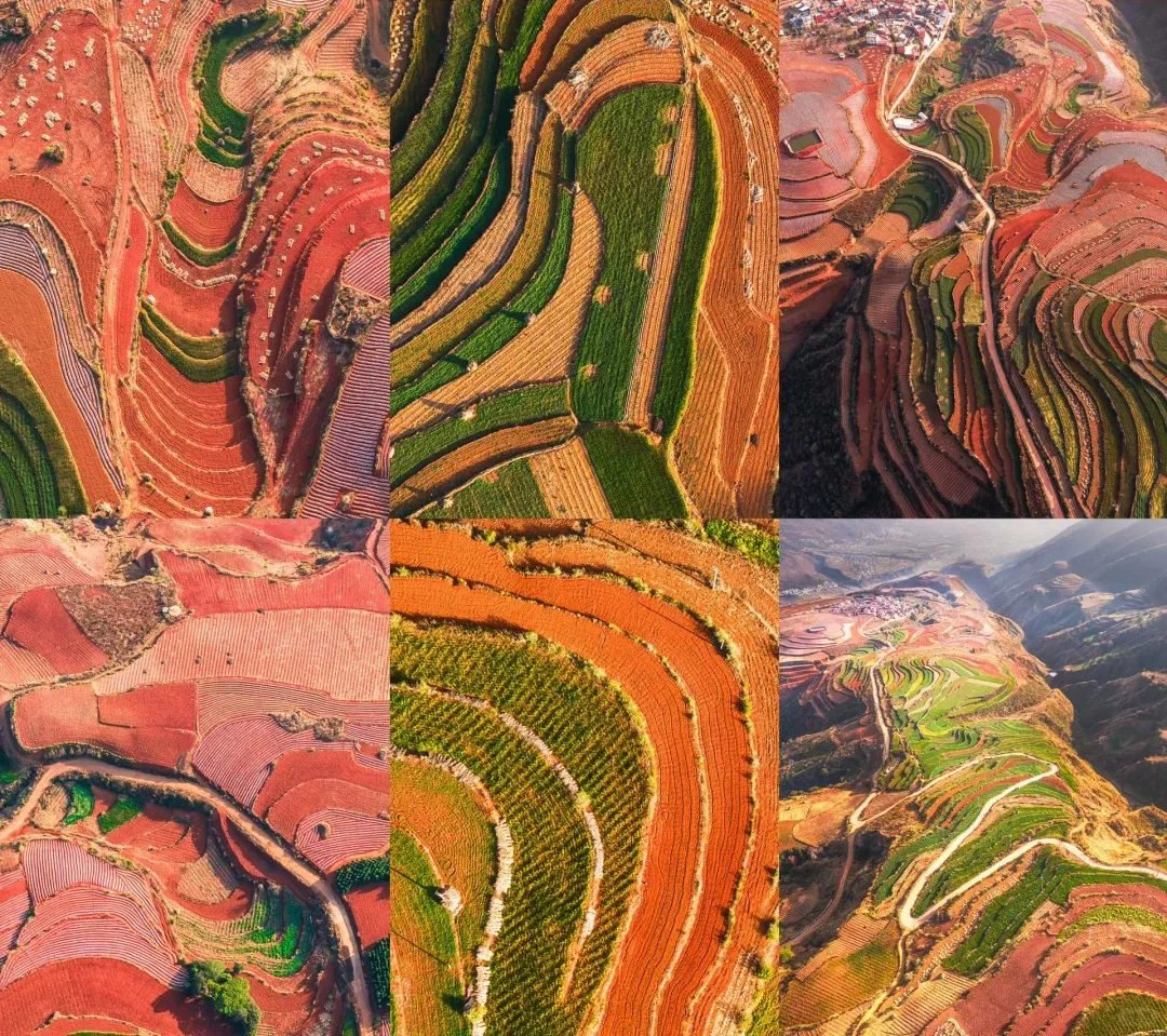 23a04b01fa61a1b881c47fd1e8087db8-sz_3711855