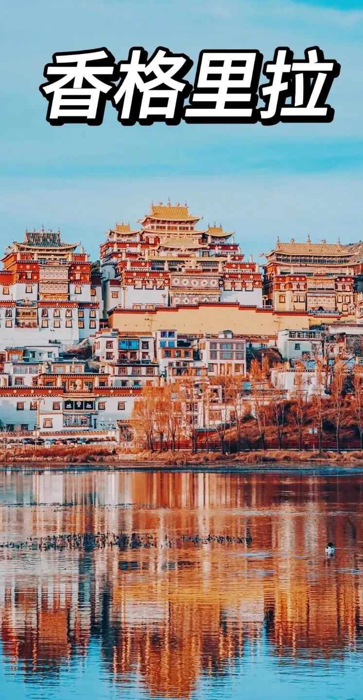 23e3f49d96a0adc6f7128ae0e863ea9f-sz_318671-1