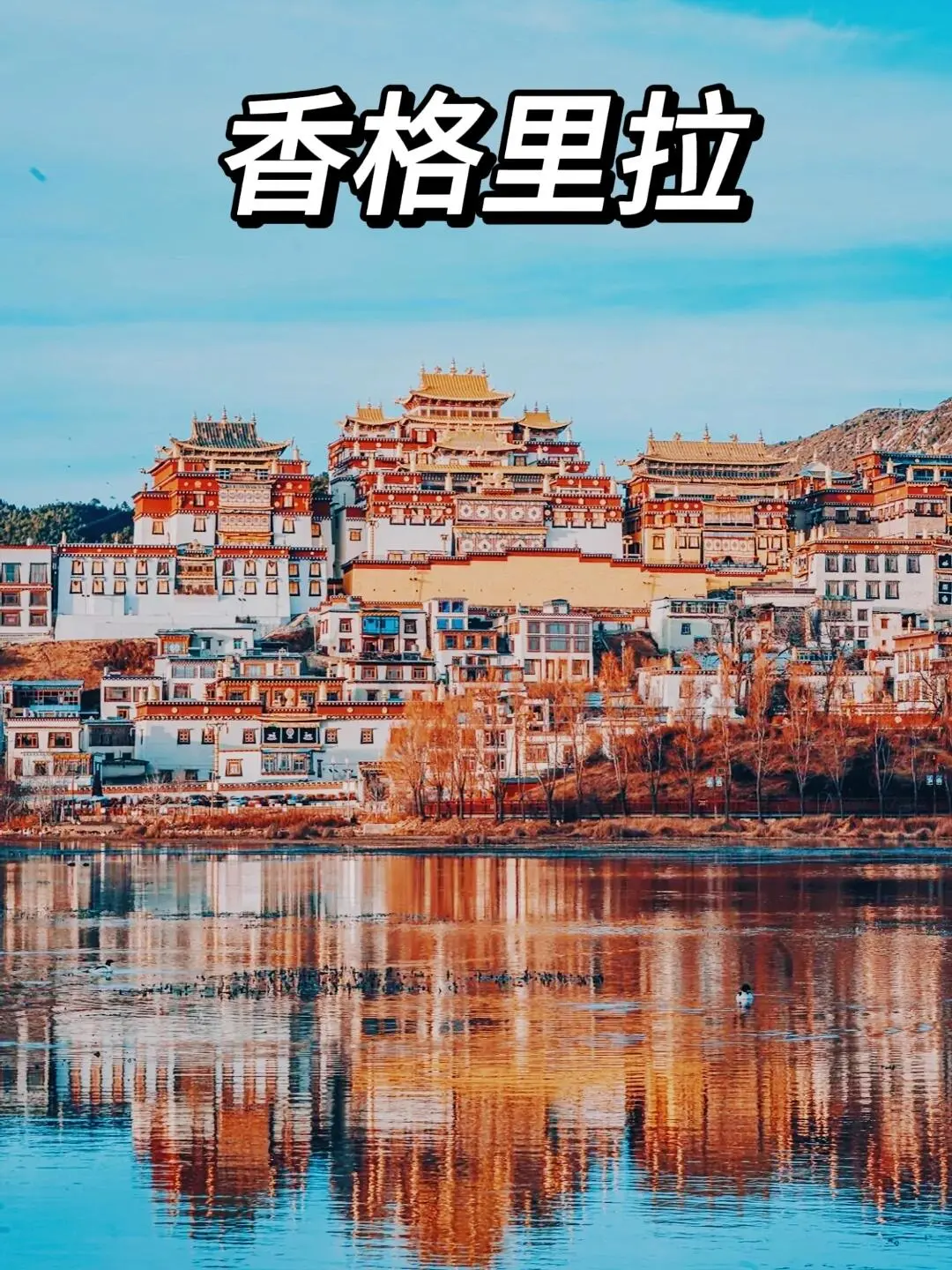 23e3f49d96a0adc6f7128ae0e863ea9f-sz_318671