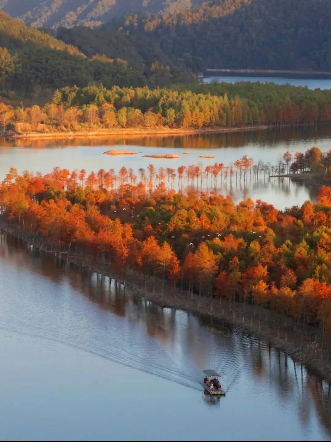 2403f528d6eb299a44abc4112eebf71f-sz_182867