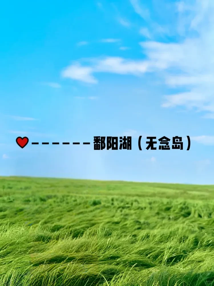 2424b3c5e93450d3e8620cc131acc270-sz_1985161