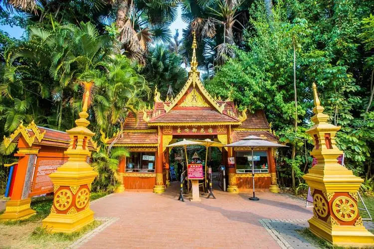 242a4750a726fc1b5580db68674321b0-sz_115347