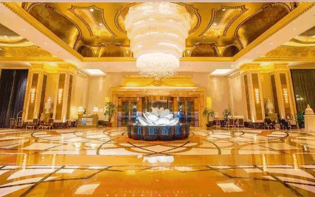 24425afba688b6fc21d0abab81e973db-sz_456481