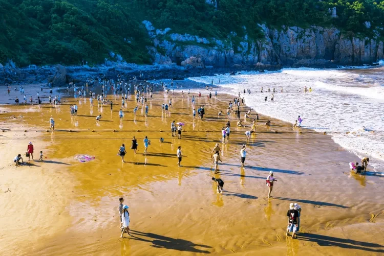 244d98d59bbc4ddcfe40fb0b372eba0d-sz_378660 244d98d59bbc4ddcfe40fb0b372eba0d-sz_378660