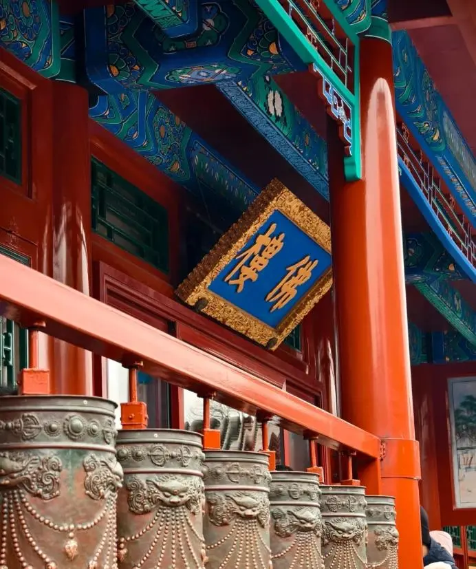 245f71eb793728dd3ffc6bfd33e2b6f6-sz_110137