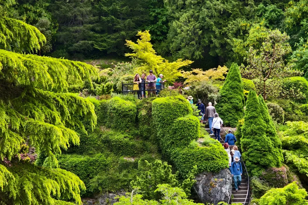 246afb321e02d1e3741520fa59caccde-sz_951358 246afb321e02d1e3741520fa59caccde-sz_951358